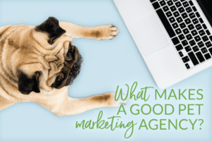 what makes a good pet marketing agency