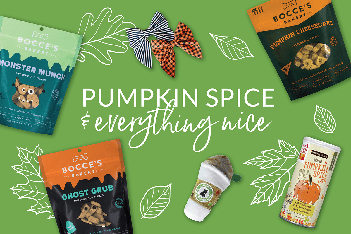 Read more about the article Pumpkin Spice and Everything Nice!