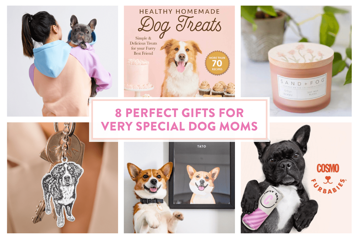 Read more about the article 8 Perfect Gifts for Very Special Dog Moms