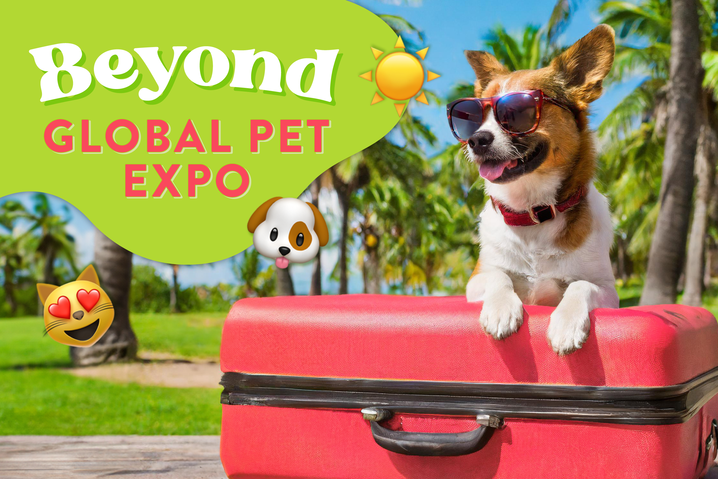 Read more about the article Beyond Global Pet Expo: Orlando’s Top Attractions