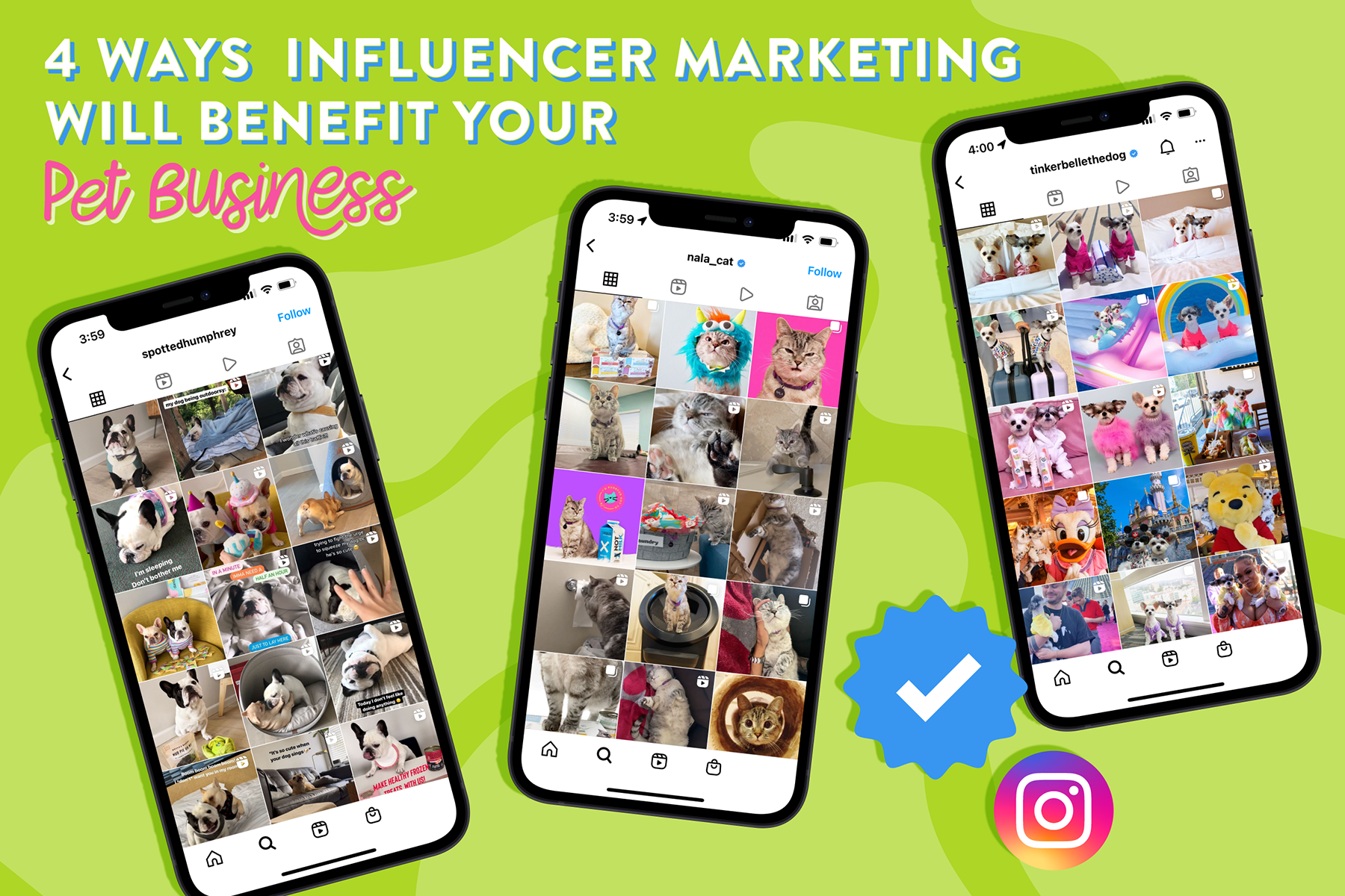 Read more about the article 4 Ways Influencer Marketing Will Benefit Your Pet Business