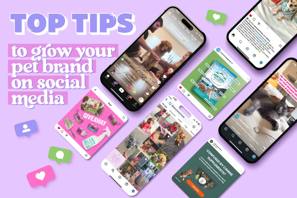 Boost Your Pet Brand on Social Media with These Expert Tips